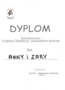 Dyplom 1